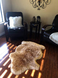 LAMBZY Genuine Sheepskin Silky Area Rug - Thick Strong Bottom Texture Stain Resistant Area Rug - lambzydecor.com