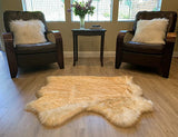 LAMBZY Faux Sheepskin Super Soft Hypoallergenic Silky Shag Rug for Living Room, Kids Room, Sofa - lambzydecor.com